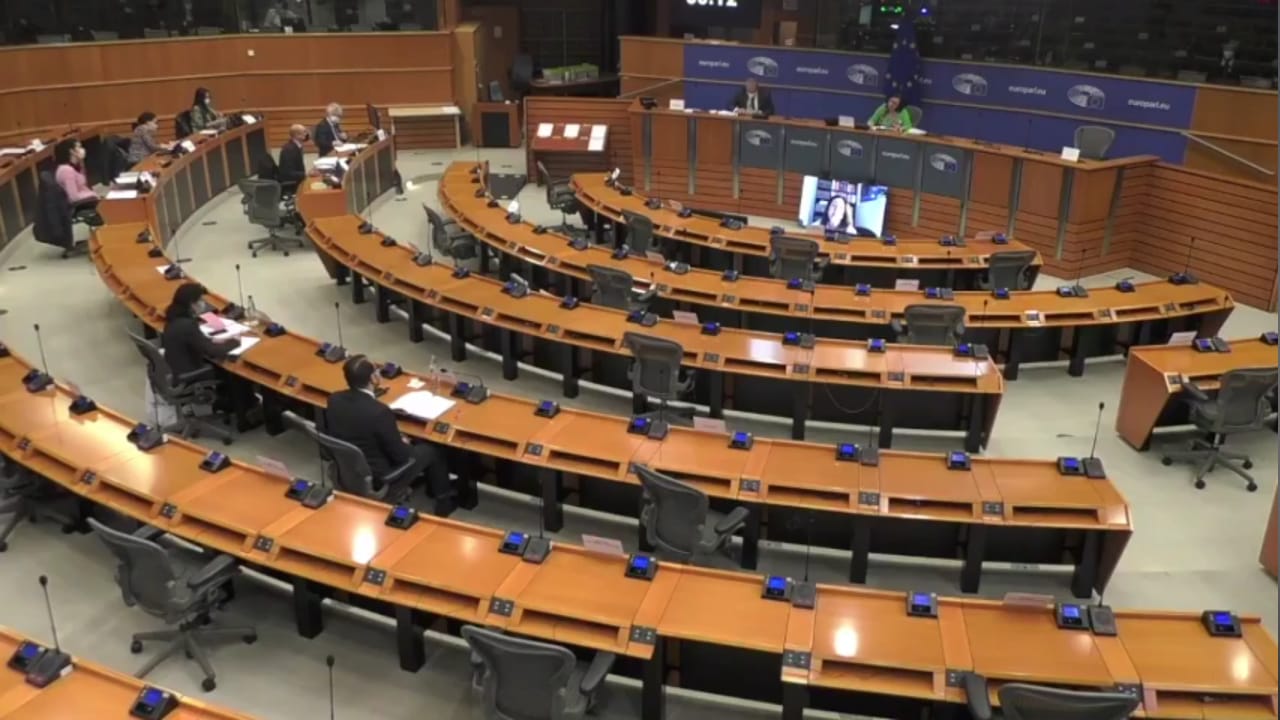 Parlamento Europeo 150321 (2)